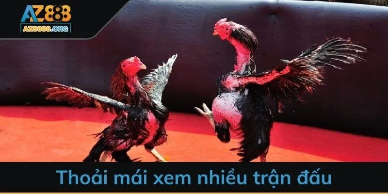 Thoải mái xem nhiều trận đấu